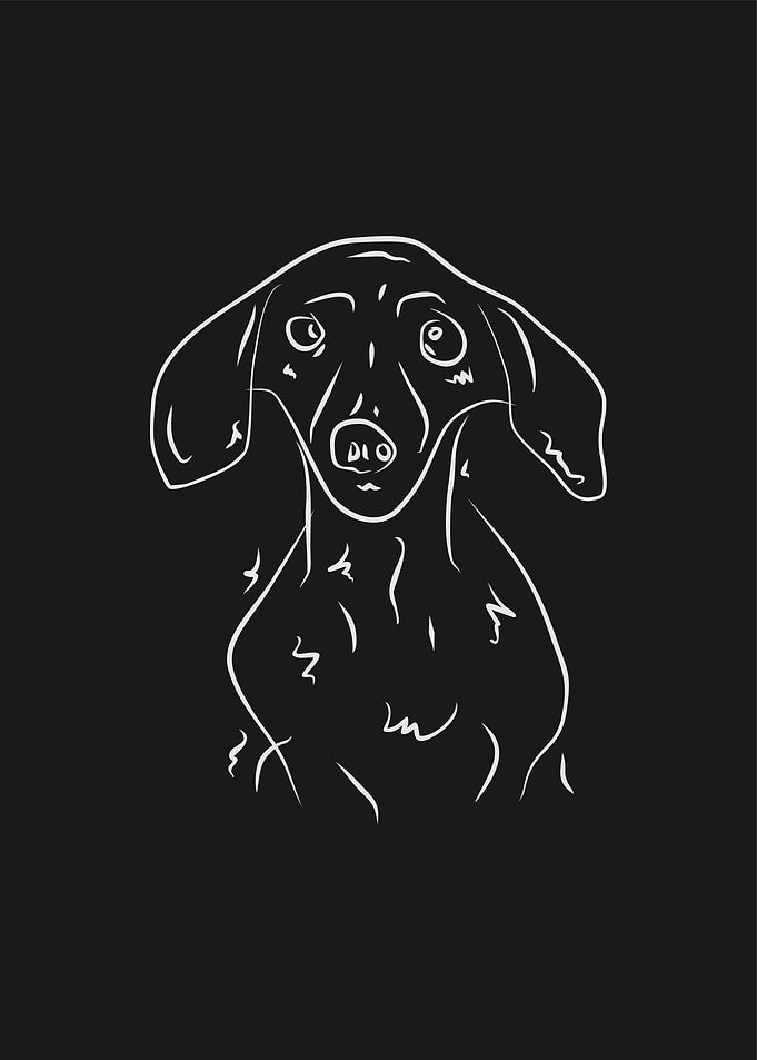 Dog 1d Grey Line