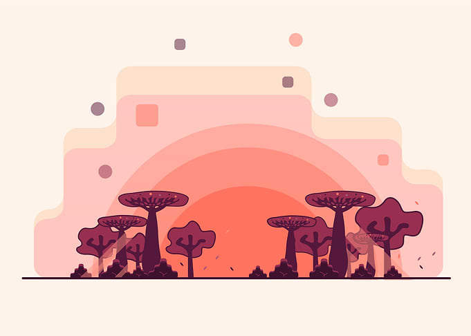 The desert at dusk