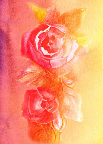 Antique roses