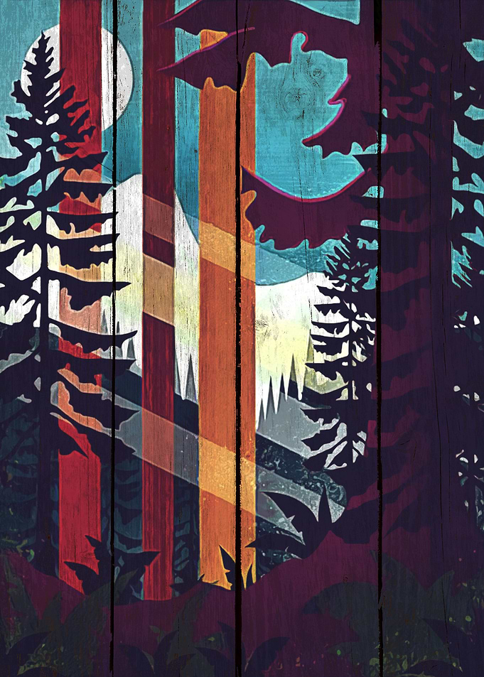 Sequoia