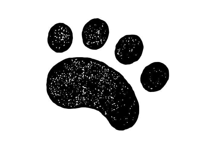 Paw Print