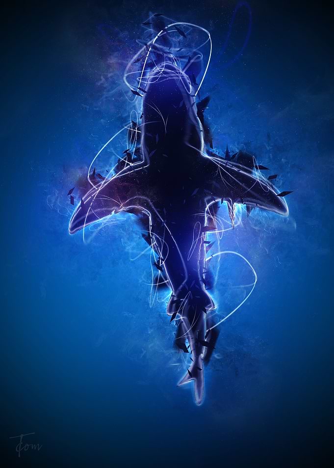 Shark