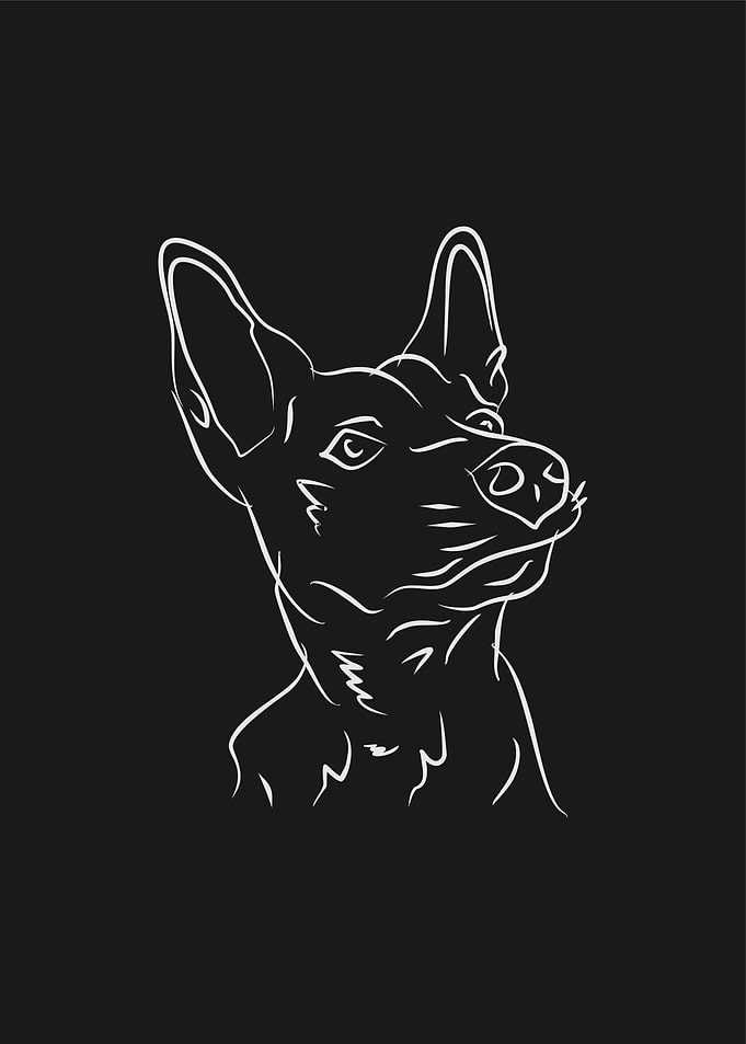Dog 3d Grey Line