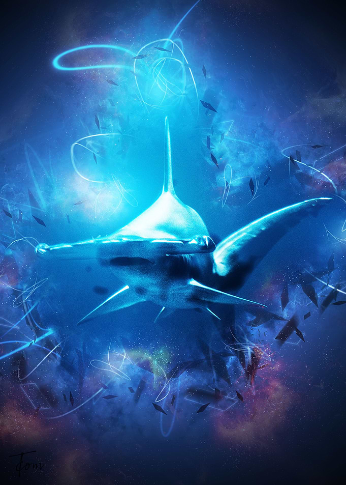 Hammerhead Shark