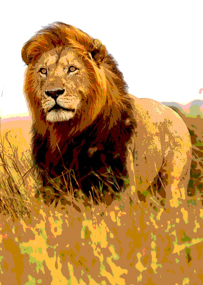 king of animals