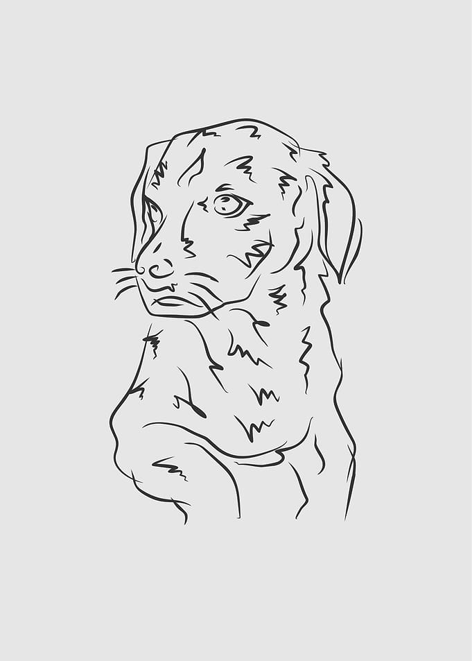 Dog 8e Black Line