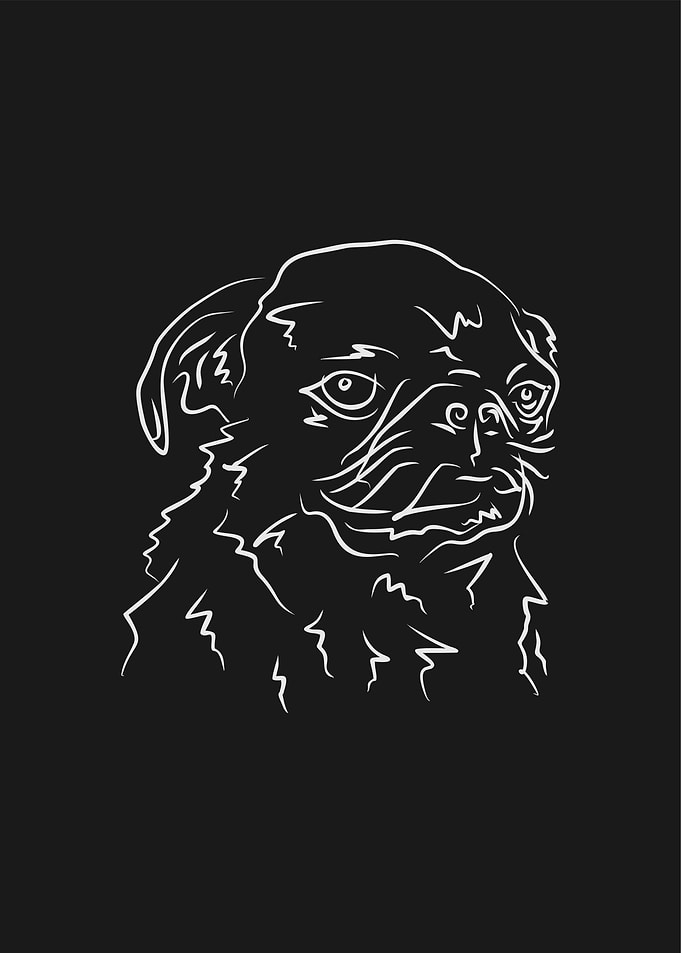 Dog 9d Grey Line