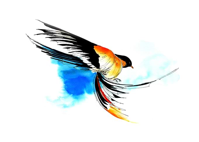 Bird. A moment in the air