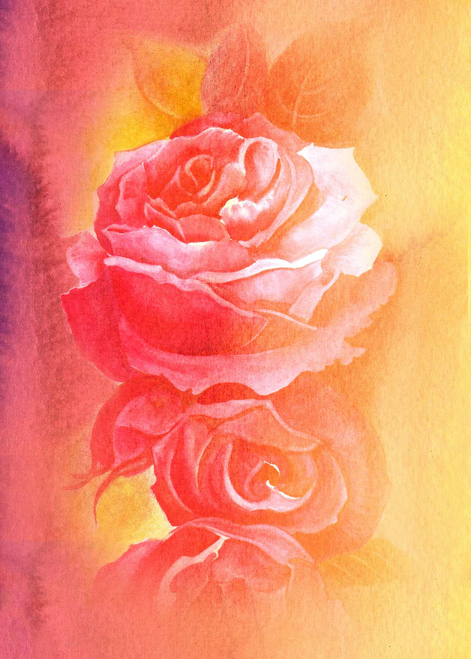 Roses. The song of roses