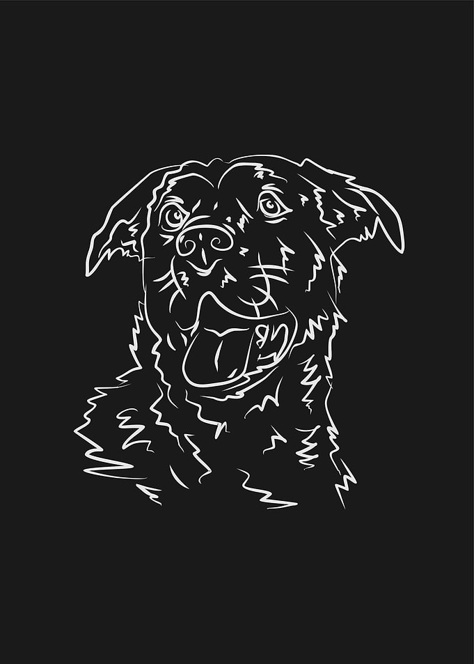 Dog 10d Grey Line
