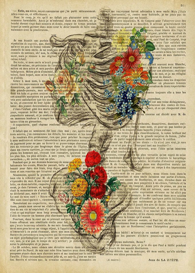 Rib Cage Skeleton