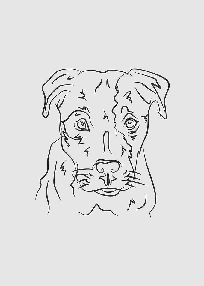 Dog 6e Black Line