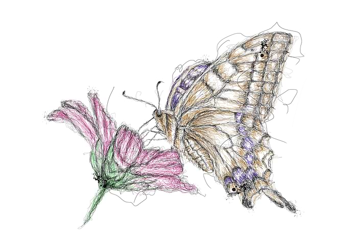butterfly scribble
