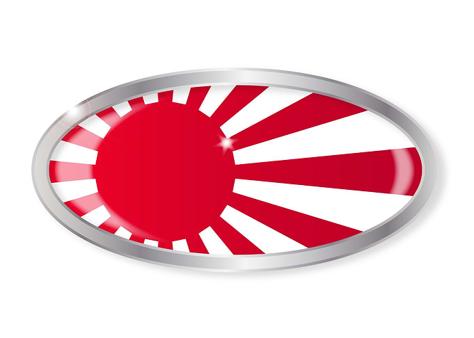 Japanese Flag Oval Button