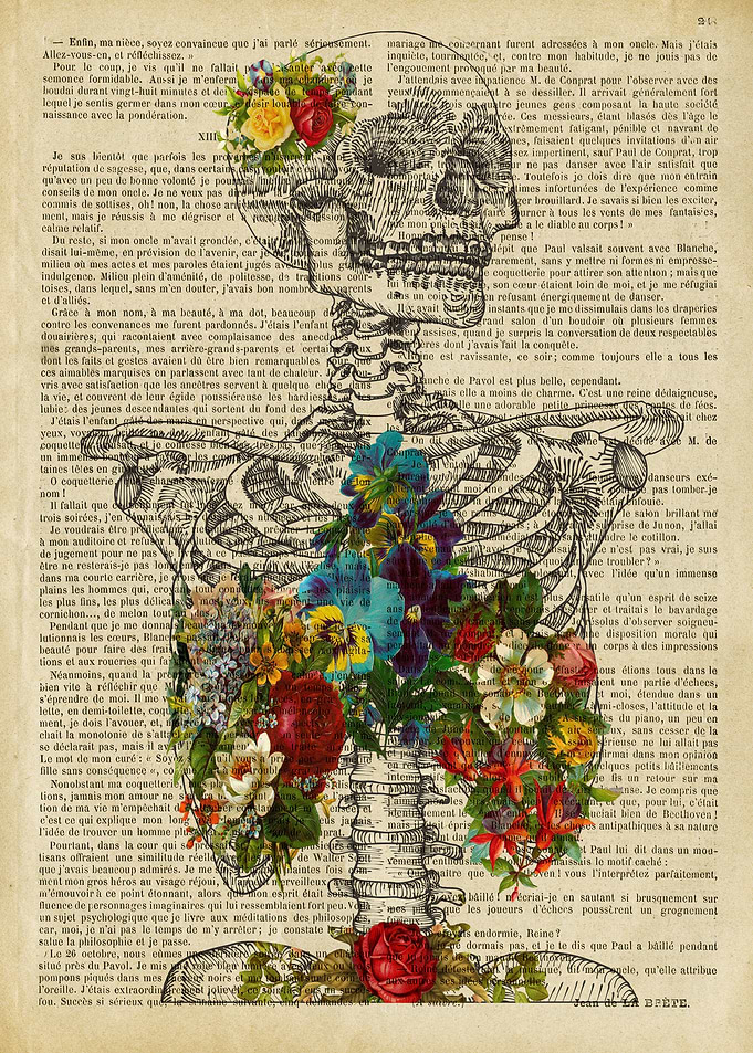 sugar skull Skeleton Bones