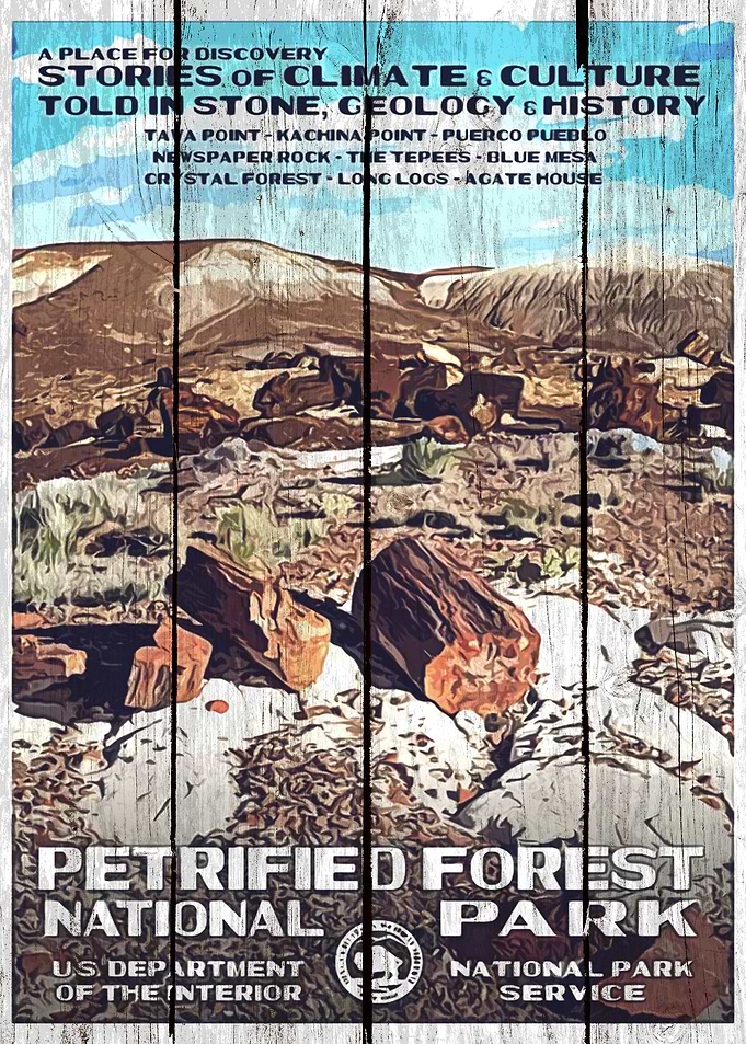 PETRIFIED FOREST