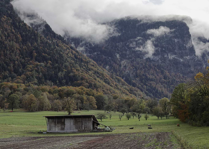 Old farm