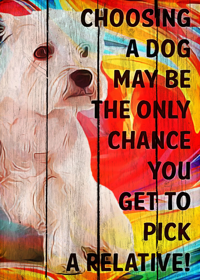 Westie