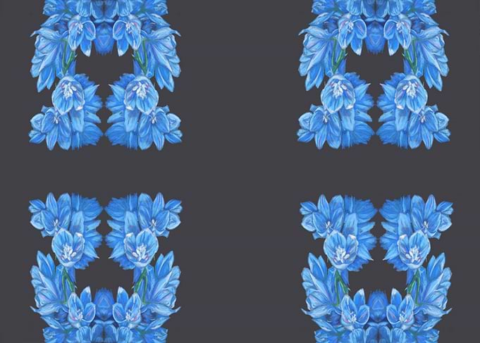 Delphiniums