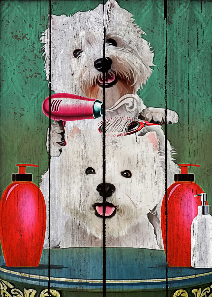 Westie