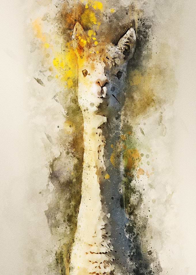 watercolor llama baby