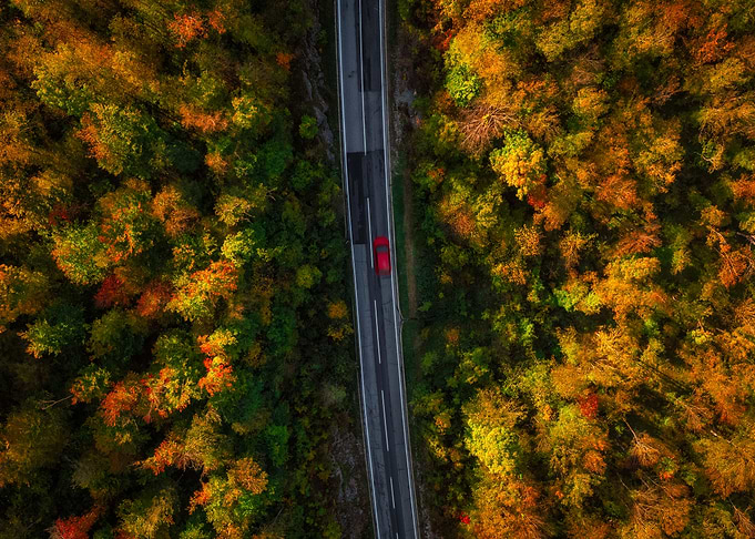 Croatian Fall