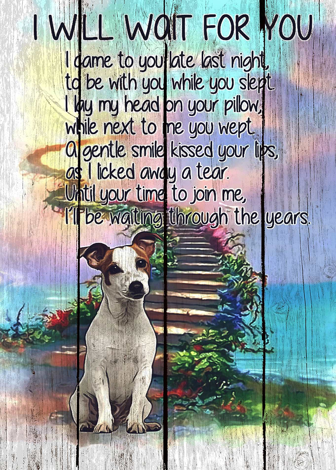 Jack Russell