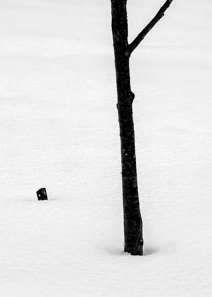 Minimalistic Winter