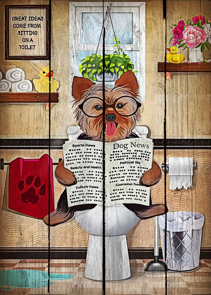 Yorkshire Terrier