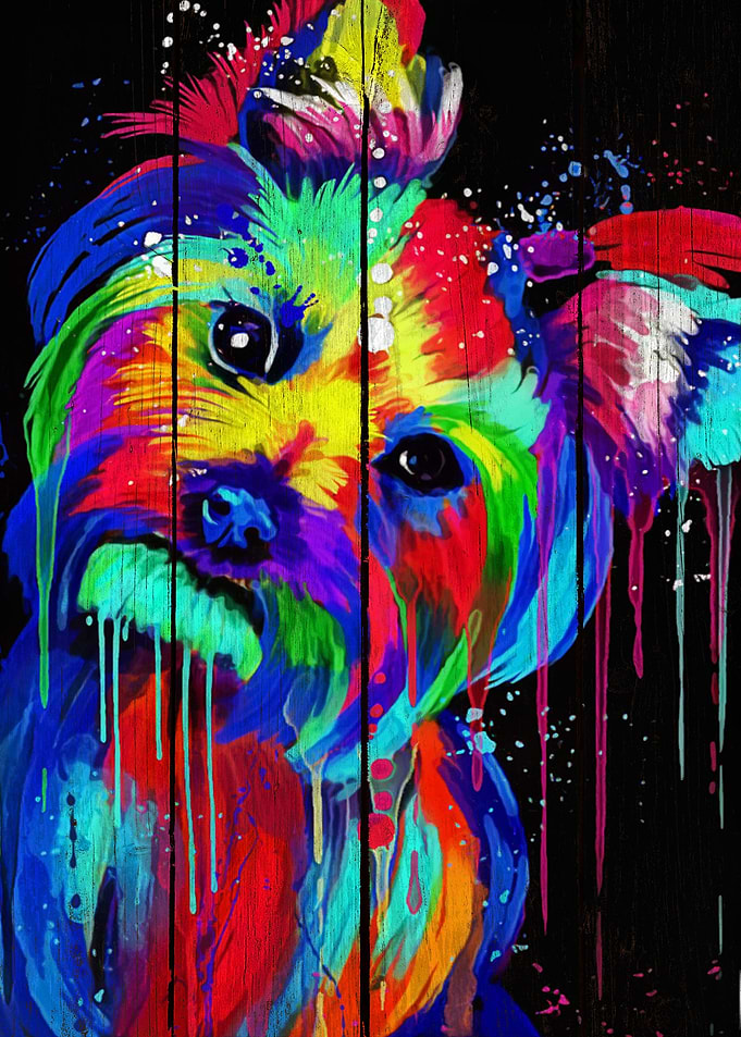 Yorkshire Terrier