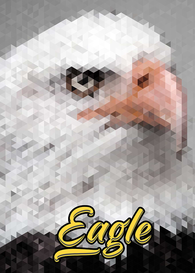 Polypictor Art Style Eagle