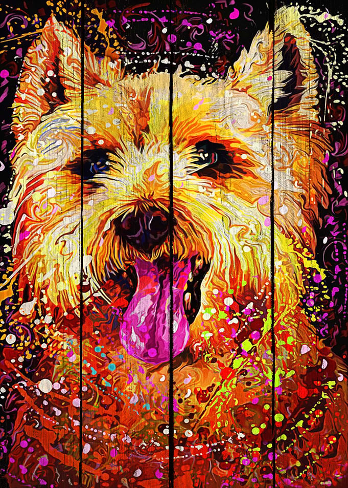 Westie