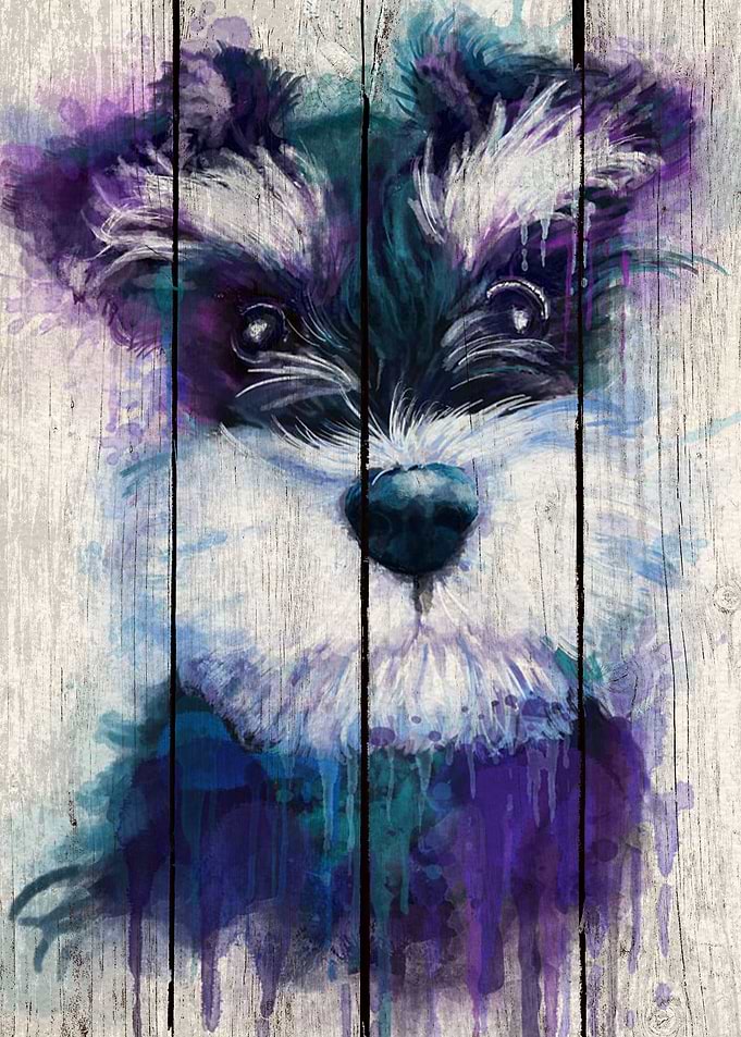 Miniature Schnauzer