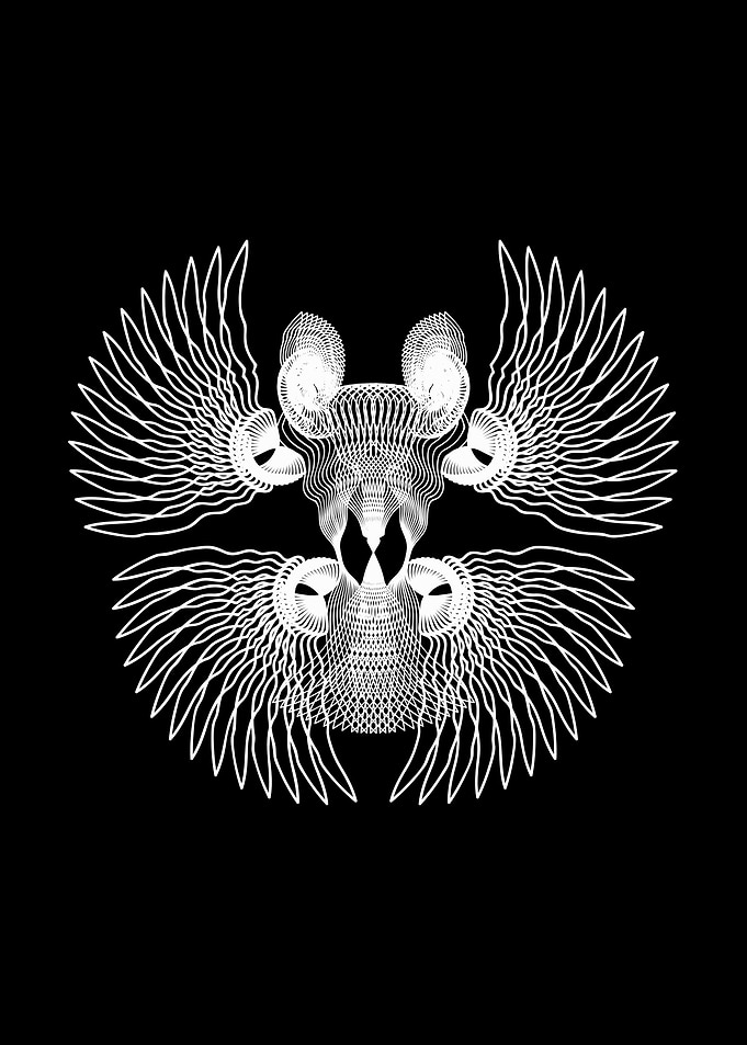 Pterygota