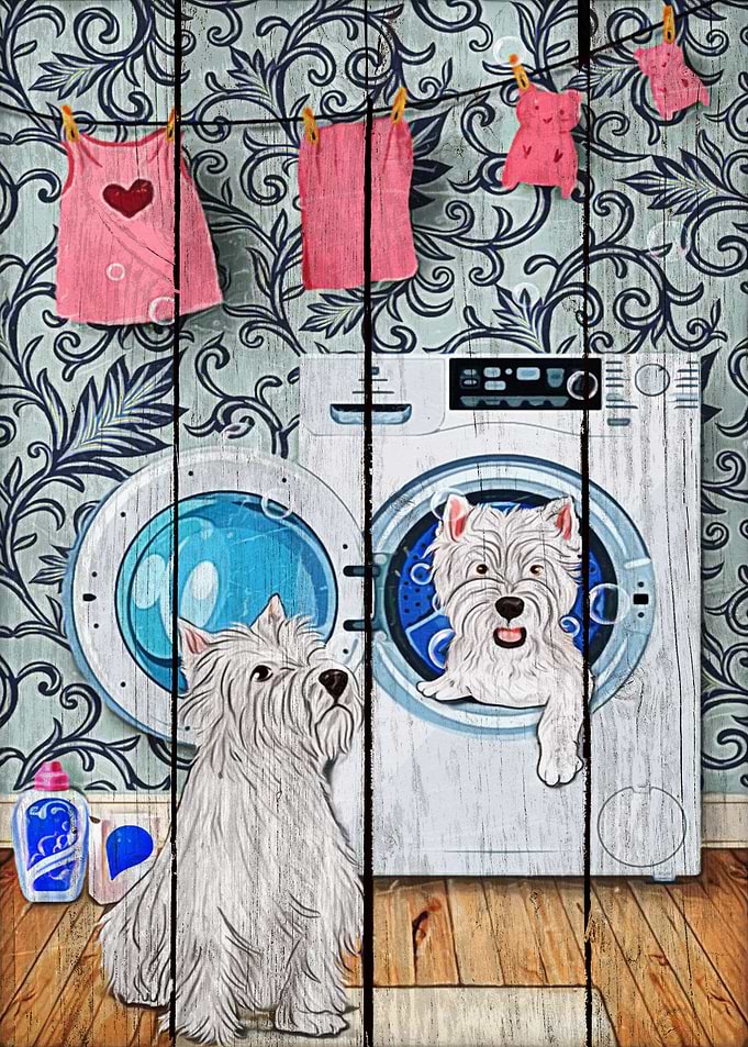 Westie