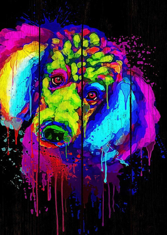 Poodle Art