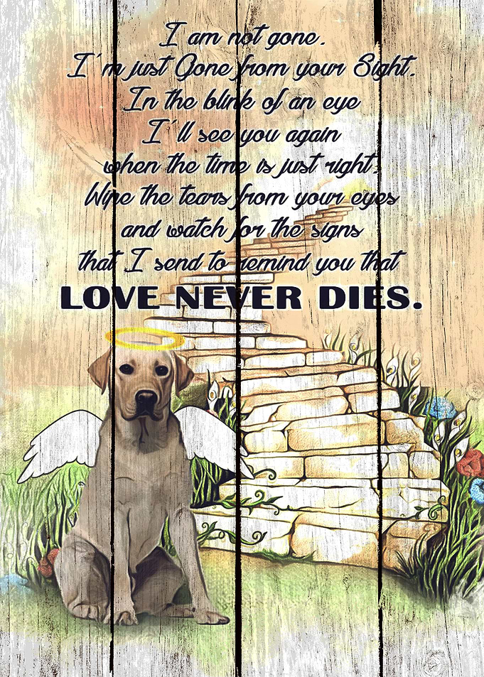 Labrador Art