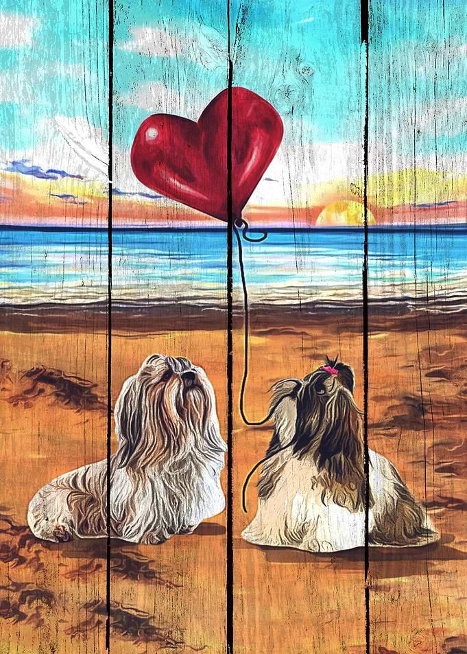 Shih Tzu