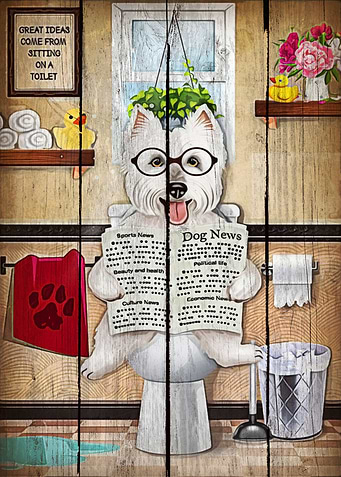 Westie