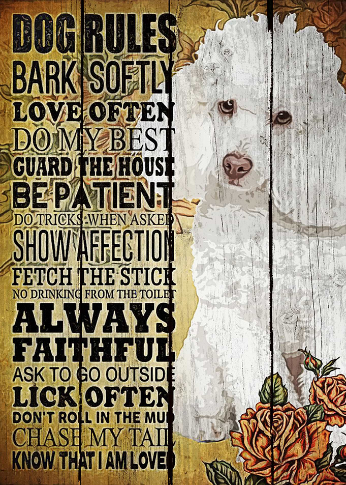 Poodle Art