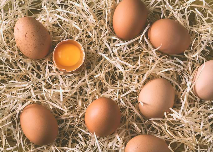 Raw chicken eggs