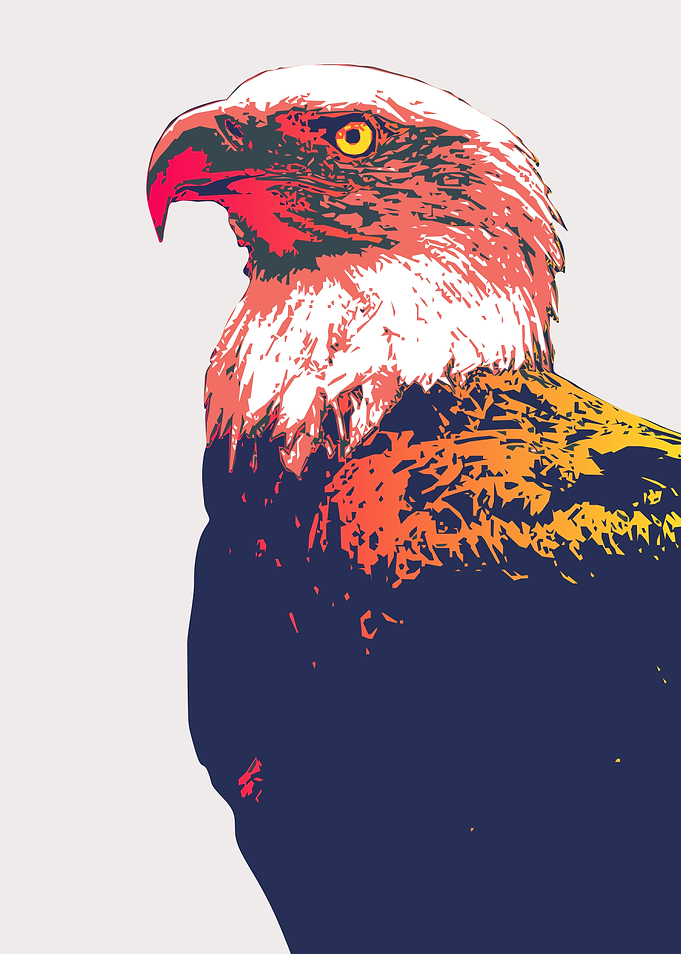 Speed Art Eagle