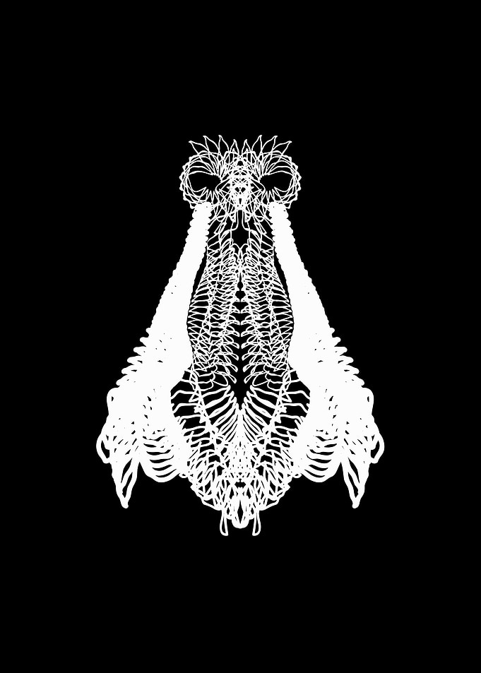 Diptera