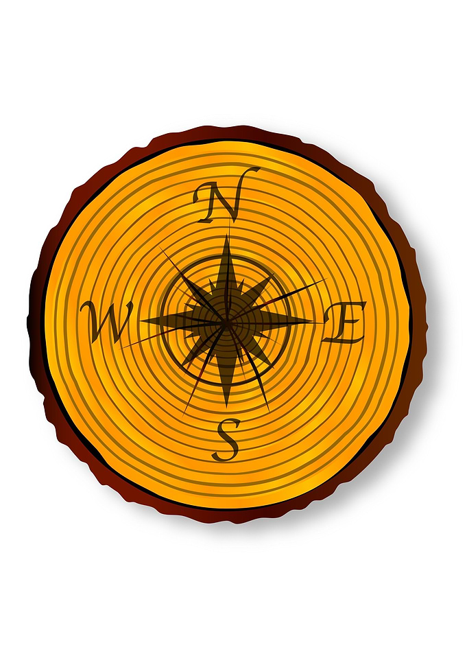 Compass Face On Timber