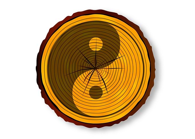 Yin Yang On Timber Section