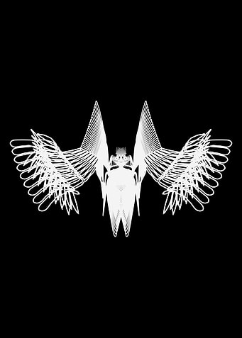Odonata