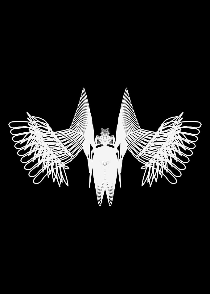 Odonata