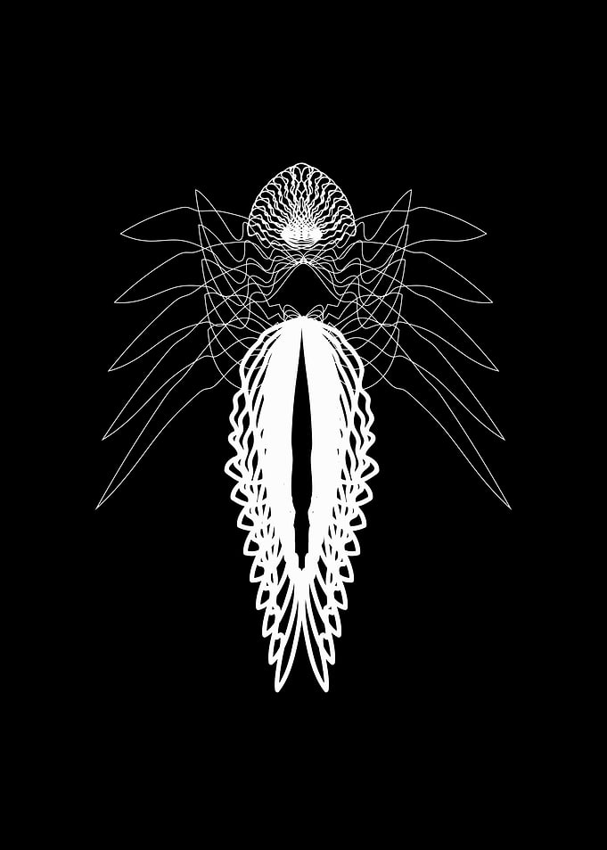 Cicadoidea