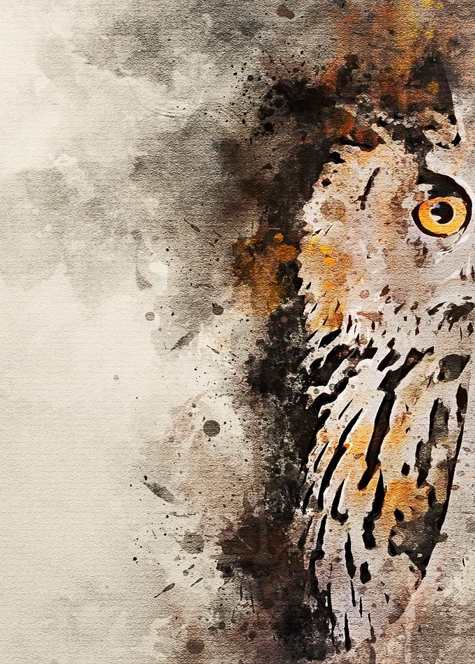 watercolor owl