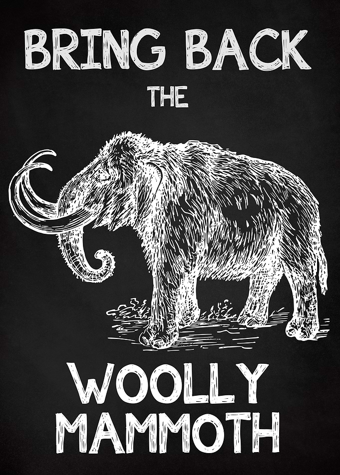 Woolly Mammoth Chalk